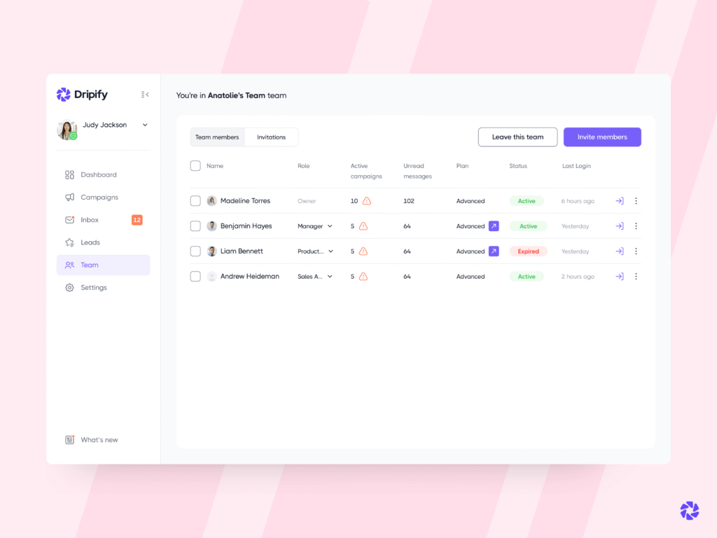 Dripify for Sales Teams: Manage Your Team