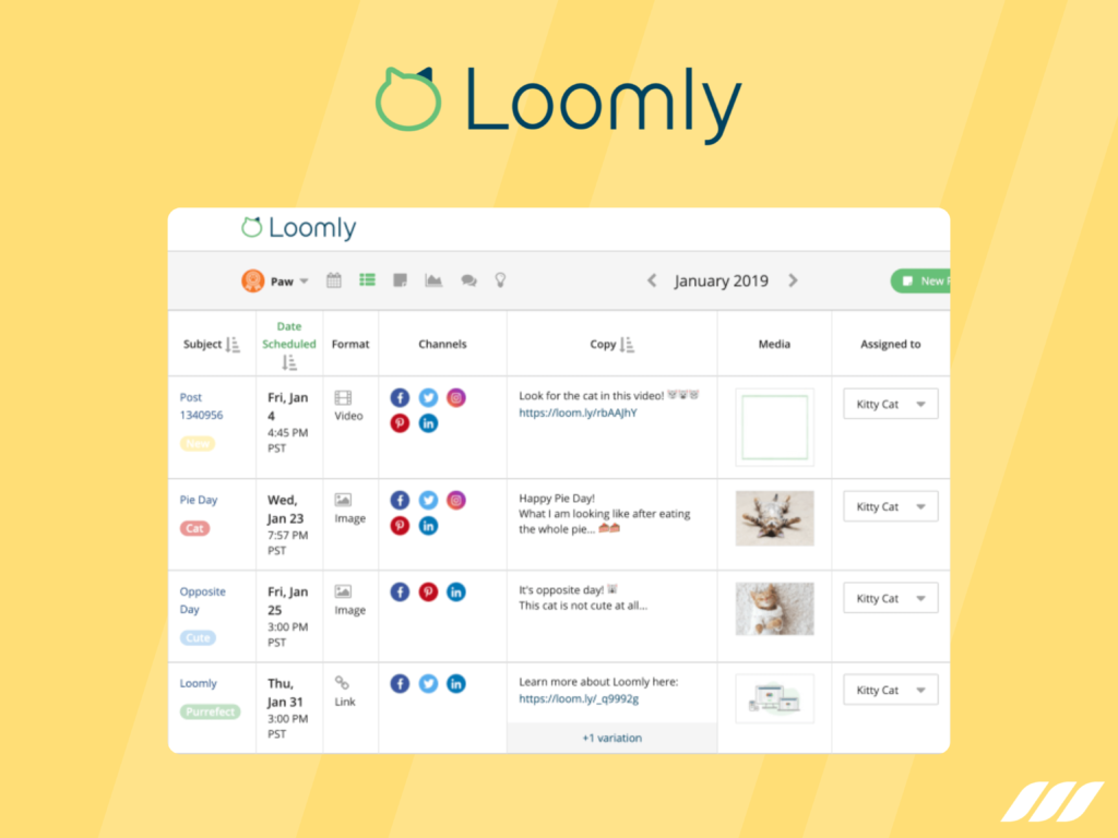 Loomly Social Media Automation Tool