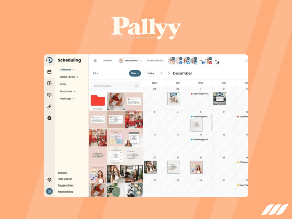 Pallyy Social Media Automation Tool