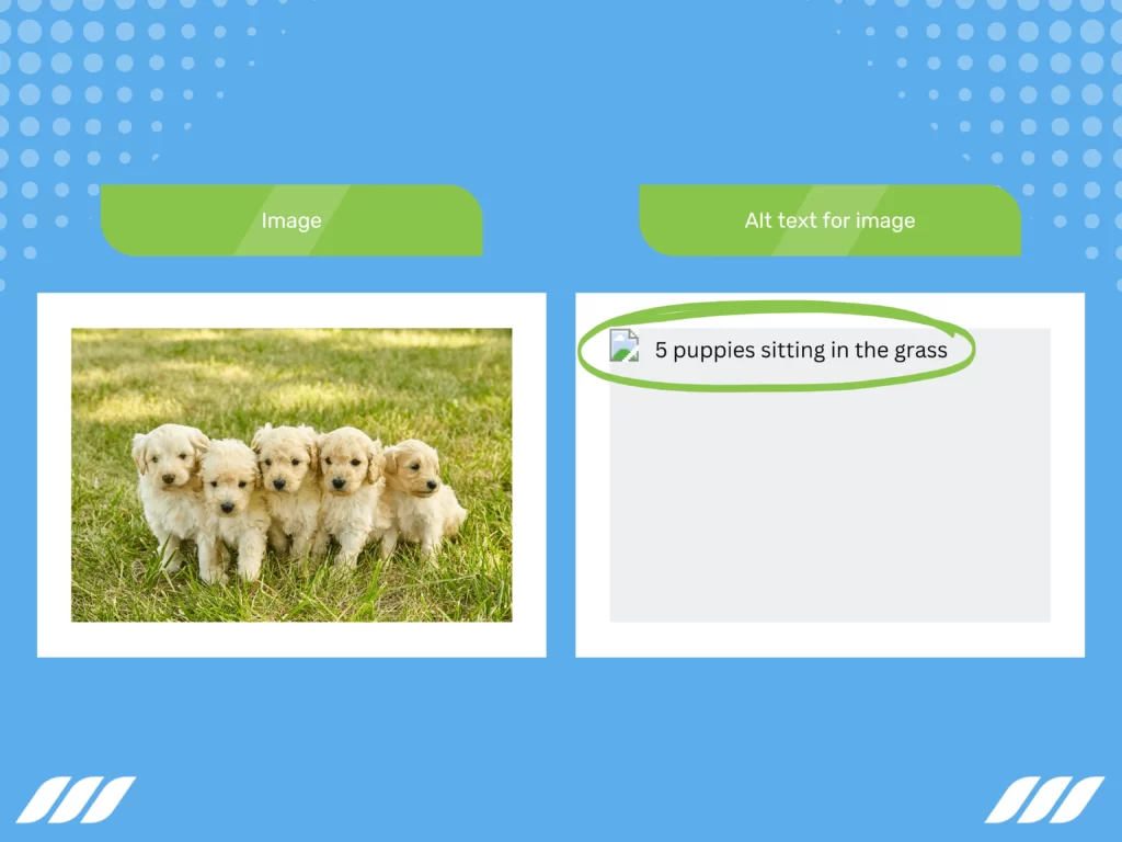 Visual Prospecting: Accessibility Matters