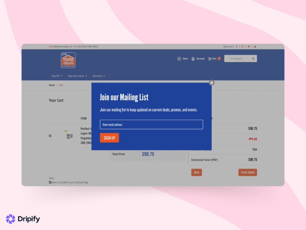How to Build an Email List for Business: Ask Visitors to Opt-In at Checkout